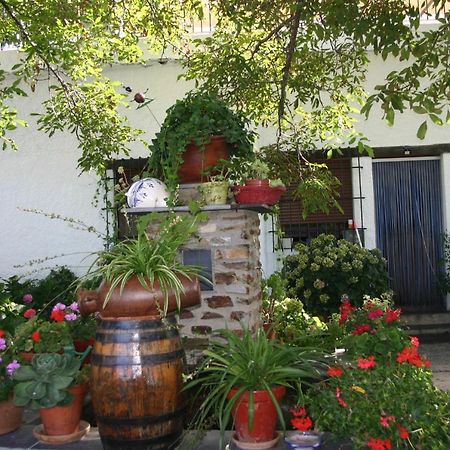 Apartamentos Y Casas Rurales Las Terrazas De La Alpujarra ブビオン エクステリア 写真