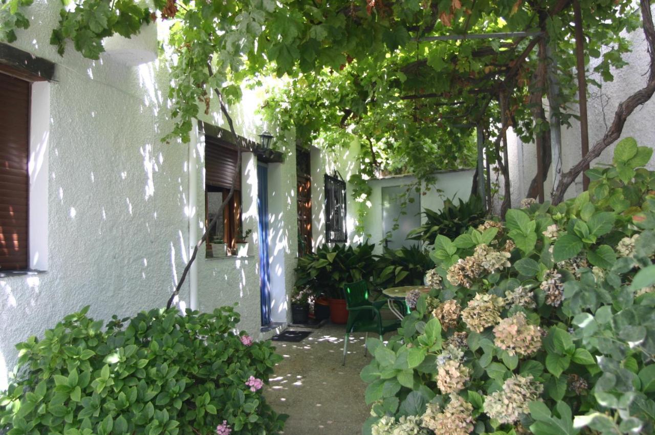 Apartamentos Y Casas Rurales Las Terrazas De La Alpujarra ブビオン エクステリア 写真